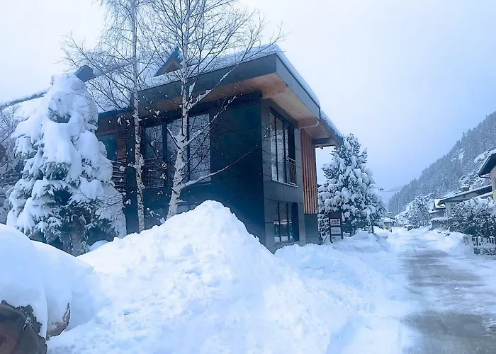 Mountain View * Λάνγκενφελντ