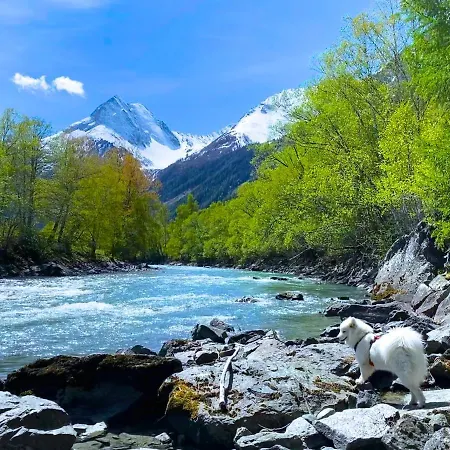 Mountain View Längenfeld