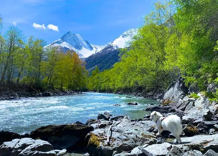Mountain View 朗根费尔德